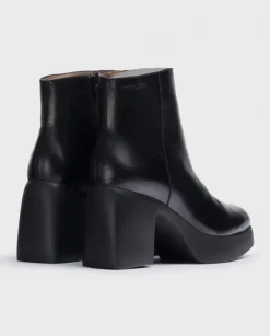 Wonders Botin Mex^ Wondersfly