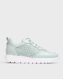 Wonders Deportivas Cario Azul^ Planos