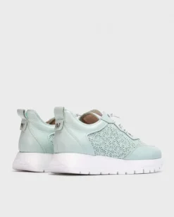 Wonders Deportivas Cario Azul^ Planos