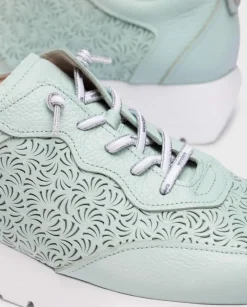 Wonders Deportivas Cario Azul^ Planos