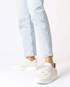 Wonders Deportivas Cario Blanco^ Planos