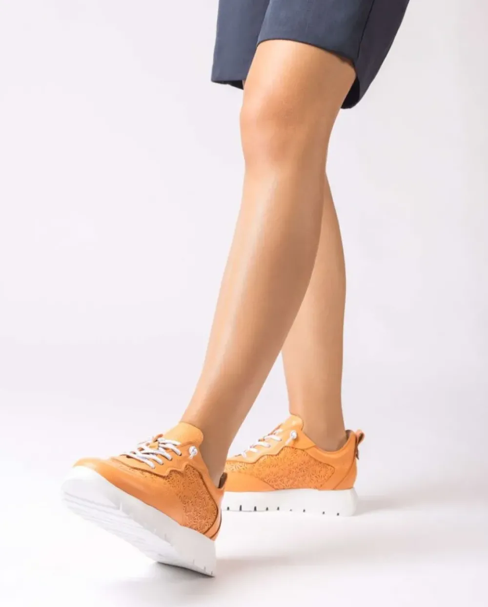 Wonders Deportivas Cario Naranja^ Planos