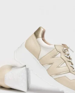 Wonders Deportivas Kyoto Bicolor^ Deportivas