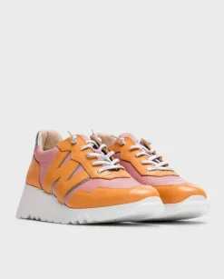 Wonders Deportivas Kyoto Bicolor^ Deportivas