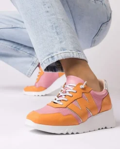 Wonders Deportivas Kyoto Bicolor^ Deportivas