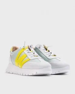 Wonders Deportivas Meri Aqua^ Planos