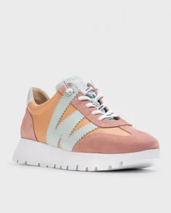 Wonders Deportivas Meri Rosa^ Deportivas