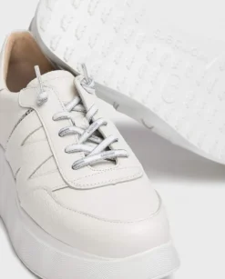 Wonders Deportivas Roma Blanca^ Deportivas