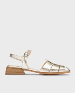 Wonders Naranja Phoenix Cangrejeras^ Planos