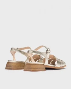 Wonders Naranja Phoenix Cangrejeras^ Planos