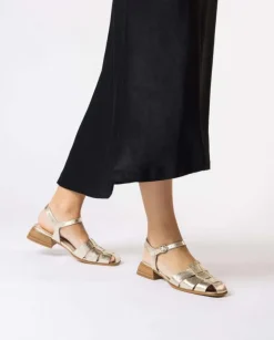 Wonders Naranja Phoenix Cangrejeras^ Planos