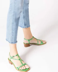 Wonders Sandalia Aurora Verde^ Sandalias