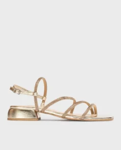 Wonders Sandalia Zaida^ Planos