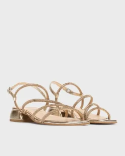 Wonders Sandalia Zaida^ Planos