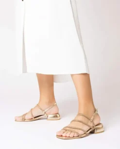 Wonders Sandalia Zaida^ Planos