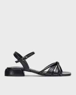 Wonders Sandalia Zaida^ Planos