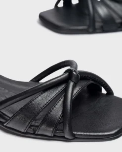 Wonders Sandalia Zaida^ Planos