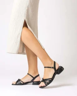 Wonders Sandalia Zaida^ Planos