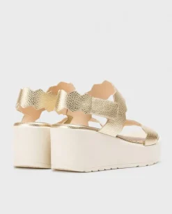 Wonders Sandalias Purpura^ Sandalias